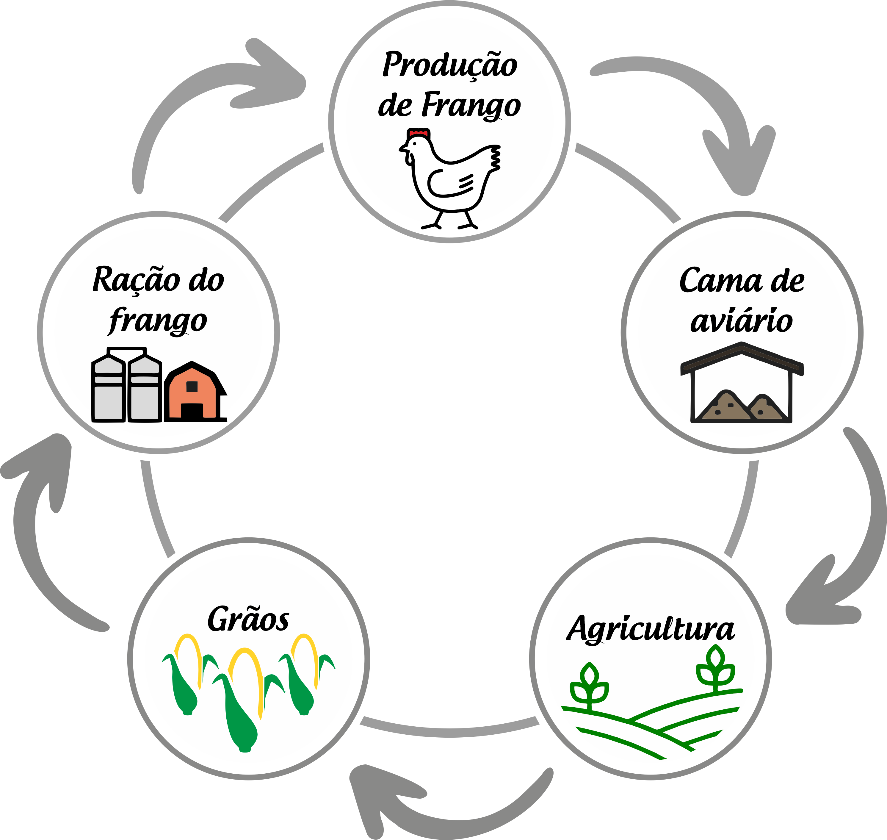 ciclo-produção-aviária-rivelli-alimentos-agronegócio